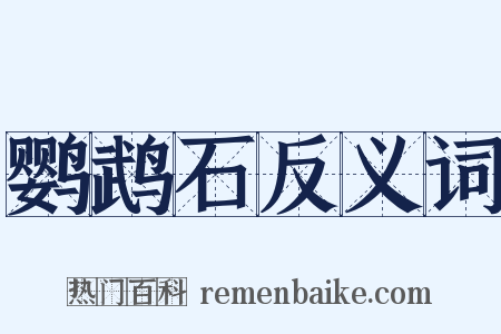 鹦鹉石反义词是什么意思的图片